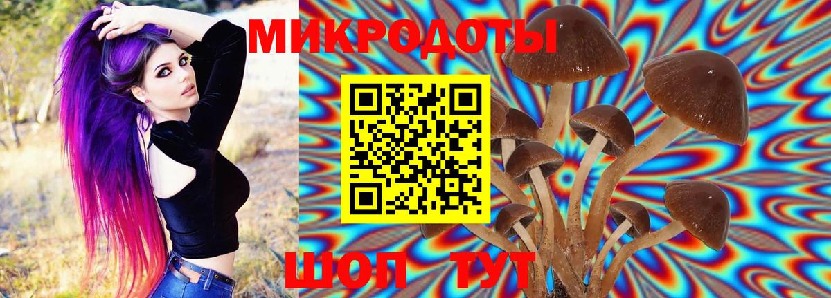 Галлюциногенные грибы Cubensis Кириши